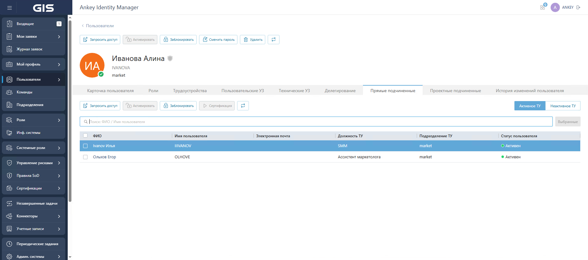 Ankey IDM — интерфейс CyberArk Identity Manager